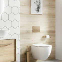 Crosswater MPRO Flush Plate - Old Fashioned Bathrooms -Oldfashionedbathrooms Store mpro flush plate 7